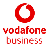 vodafone Business Logo